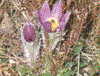 color_10.jpg, 488kb