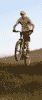 color_36.jpg, 19kb