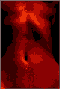 006.jpg | 8,3 kb