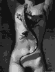 008.jpg | 17,8 kb