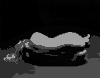 010.jpg | 12,2 kb