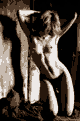 011.jpg | 14,8 kb