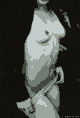 012.jpg | 8,0 kb