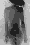 029.jpg | 13,0 kb