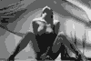 030.jpg | 17,1 kb
