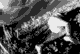 035.jpg | 30,8 kb