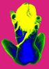 090.jpg | 51 kb