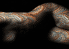 121.jpg | 34,7 kb
