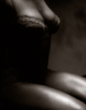 140.jpg | 8,4 kb