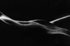 159.jpg | 14,8 kb